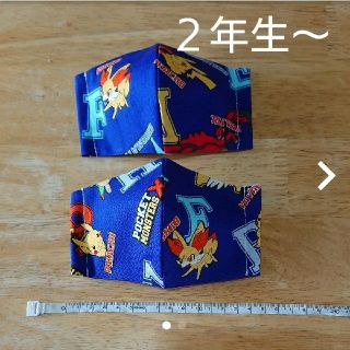 ポケモン 立体マスクカバー(外出用品)