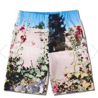 wind and sea photo pants size L(ショートパンツ)