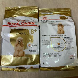 ロイヤルカナン(ROYAL CANIN)の〖フラワー様専用〗ロイヤルカナン トイプードル プードル 8+ 中･高齢犬用(ペットフード)