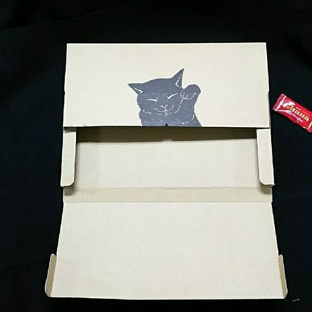 黒猫がかわいい♥ヤマト公式 ネコポスケース 100枚