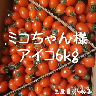 ミコちゃん様専用 30日発送予定 アイコ6kg ミニトマト  農家直送(野菜)