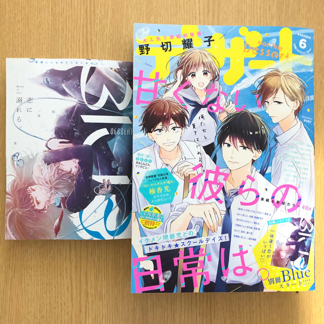 講談社(コウダンシャ)のデザート 6月号 切り抜き エンタメ/ホビーの漫画(少女漫画)の商品写真