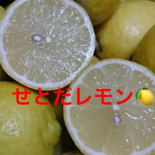 21ページ目 レモン2 000点以上 ラクマ 21ページ目 レモン2 000点以上 ラクマ