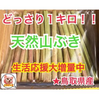 即購入OK旬物✧今だけ2倍増量中！天然山ふき１キロ(※葉はつきません)野菜山菜(野菜)