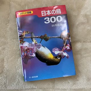 日本の鳥３００ ポケット図鑑(科学/技術)