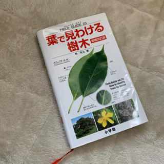 ショウガクカン(小学館)の葉で見わける樹木 増補改訂版(趣味/スポーツ/実用)