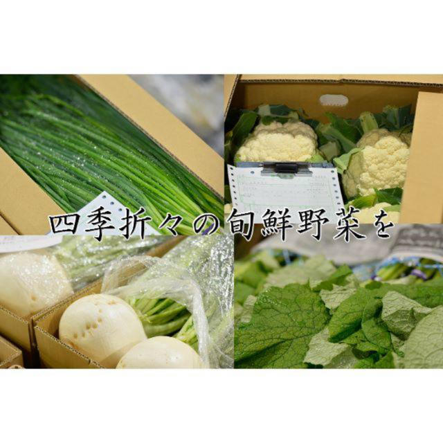 八百屋が届けるお任せ野菜セット【大】 食品/飲料/酒の食品(野菜)の商品写真