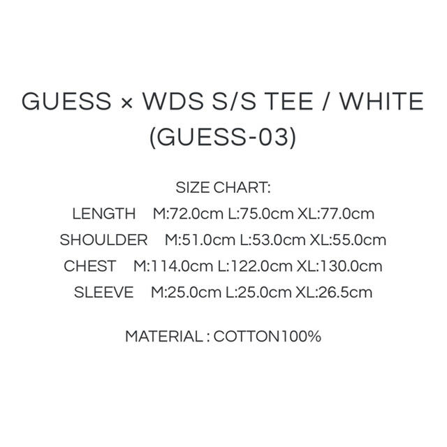 Ron Herman(ロンハーマン)の[流川様専用]WIND AND SEA GUESS OVERSIZE TEE L メンズのトップス(Tシャツ/カットソー(半袖/袖なし))の商品写真