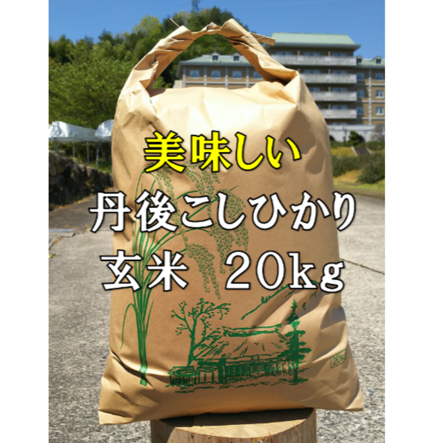 丹後こしひかり　＜玄米 20ｋｇ＞コシヒカリ