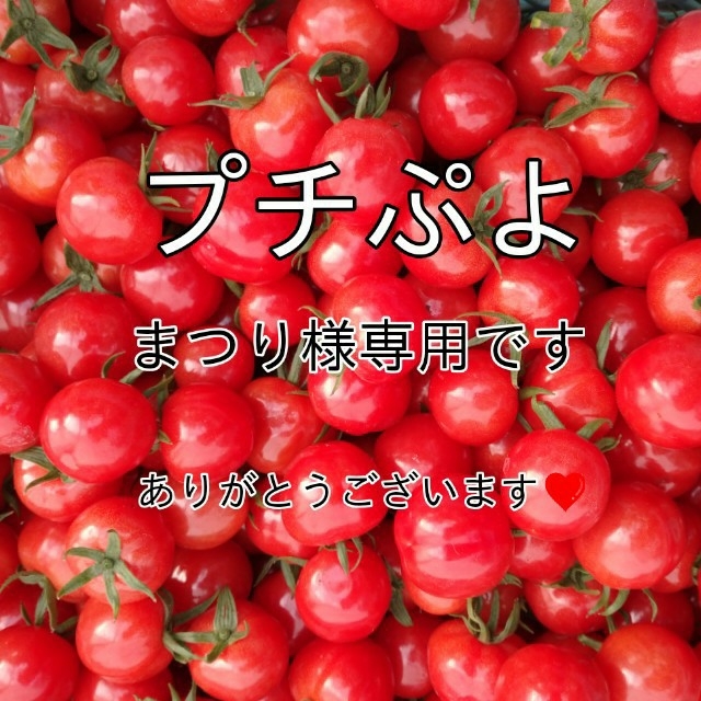 宝石のような煌めきを放つプチぷよ500g☆053ミニトマト