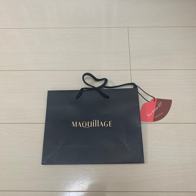 MAQuillAGE(マキアージュ)の【美品】MAQUILLAGE 紙袋 レディースのバッグ(ショップ袋)の商品写真