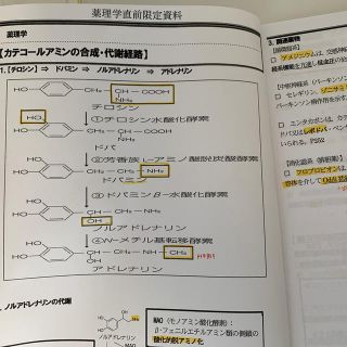 薬ゼミ 薬理学直前限定資料(資格/検定)