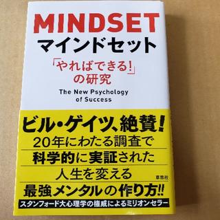 マインドセット 「やればできる！」の研究(その他)