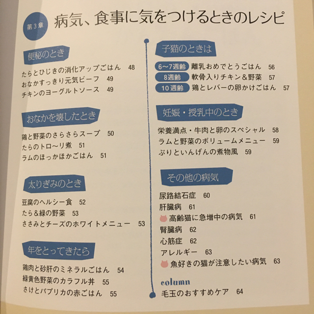 てづくり猫ごはん 健康と幸せな毎日のための簡単レシピ６０ エンタメ/ホビーのエンタメ その他(その他)の商品写真