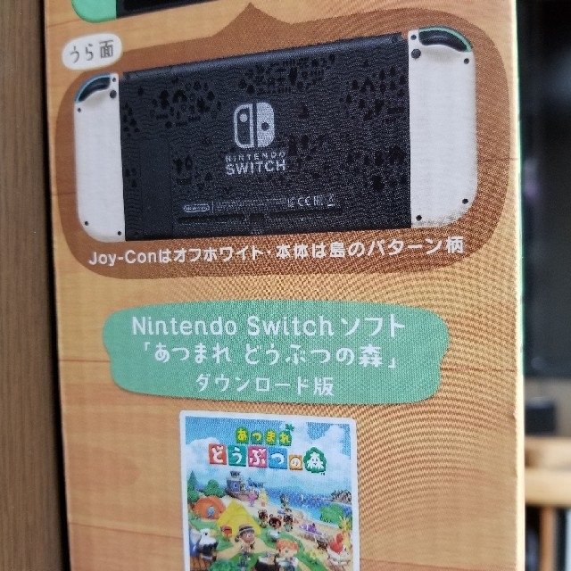 Nintendo Switch　あつまれ　どうぶつの森　セット 2