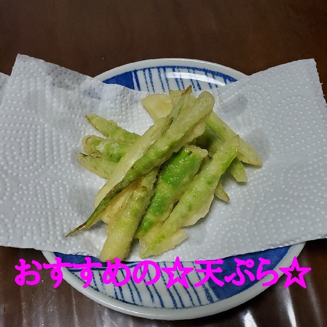 山形県産根曲がり筍（月山筍）1.5kg 食品/飲料/酒の食品(野菜)の商品写真