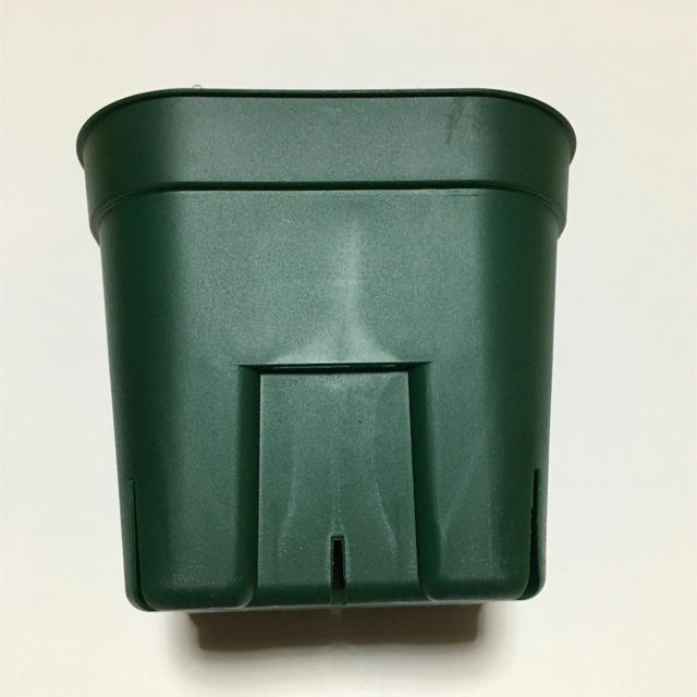 【すーさんさん専用】プレステラ 105 サイズ 緑　10個　グリーン　スリット鉢 ハンドメイドのフラワー/ガーデン(プランター)の商品写真