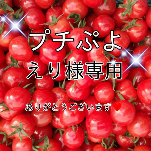 宝石のような煌めきを放つプチぷよ★038ミニトマト