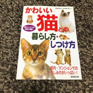 かわいい猫との暮らし方・しつけ方 愛らしいネコの写真が満載！(住まい/暮らし/子育て)