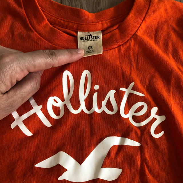 Hollister(ホリスター)のホリスター レディース　Tシャツ　XS レディースのトップス(Tシャツ(半袖/袖なし))の商品写真