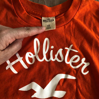ホリスター(Hollister)のホリスター レディース　Tシャツ　XS(Tシャツ(半袖/袖なし))
