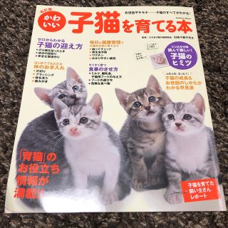 ガッケン(学研)のかわいい子猫を育てる本 お世話やキモチ…この一冊で子猫のすべてがわかる！ 改訂版(住まい/暮らし/子育て)