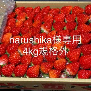 naru shika様専用●規格外苺4kg●クール便●いちごイチゴ(フルーツ)