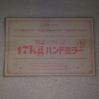 ニコラ2020年4月号ふろく 17Kgハンドミラー(ミラー)