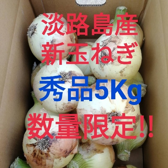 ◎淡路島新玉ねぎ　秀品5Kg 食品/飲料/酒の食品(野菜)の商品写真