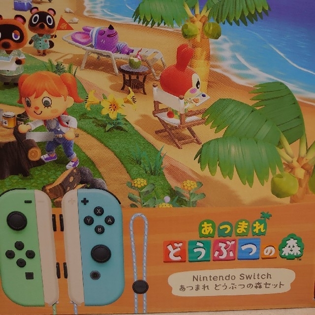 Nintendo Switch 本体 あつまれ どうぶつの森 セット 同梱版