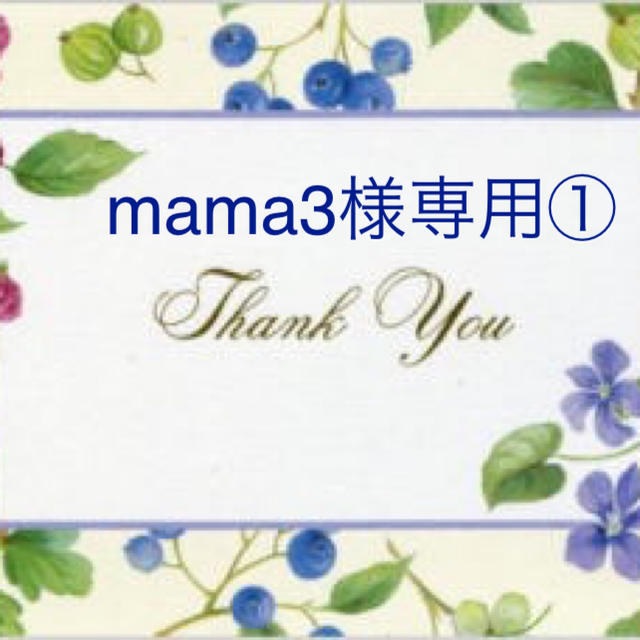 mama3様専用です その他のその他(その他)の商品写真