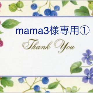 mama3様専用です(その他)