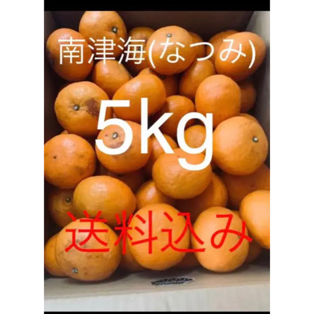 広島産訳あり傷あり幻の春みかん 南津海(なつみ)約5kg 食品/飲料/酒の食品(フルーツ)の商品写真