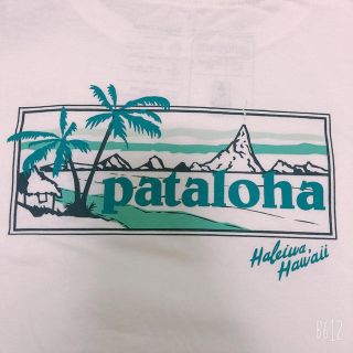 パタゴニア(patagonia)の【ハワイ限定】Pataloha パタロハ Tシャツ Patagonia(Tシャツ/カットソー(半袖/袖なし))