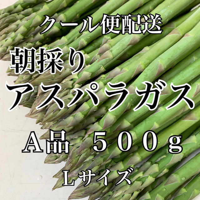 栃木県産アスパラガス 食品/飲料/酒の食品(野菜)の商品写真