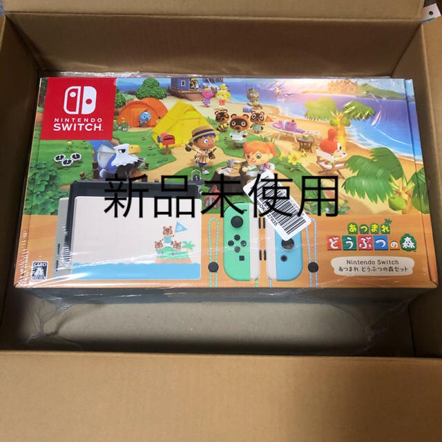 Nintendo Switch どうぶつの森 同梱版 2