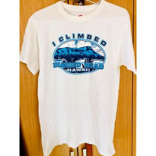 ヘインズ(Hanes)のTシャツ　ハワイ　(Tシャツ/カットソー(半袖/袖なし))