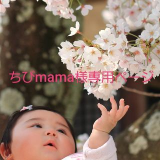 ちびmama様専用ページ(オーダーメイド)