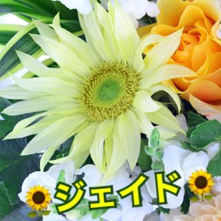 ひまわり ジェイド ✳️10粒(その他)