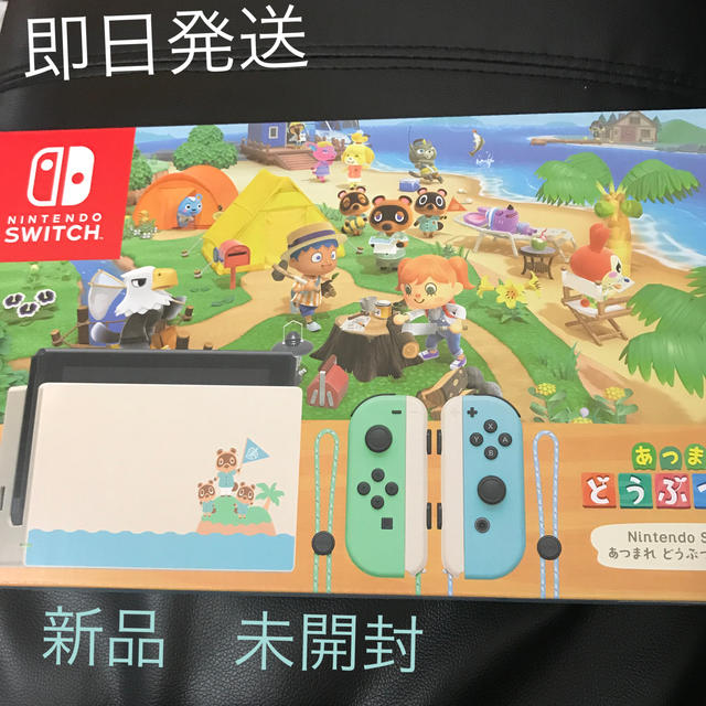 Nintendo Switch あつまれ どうぶつの森セット/Switch/HA