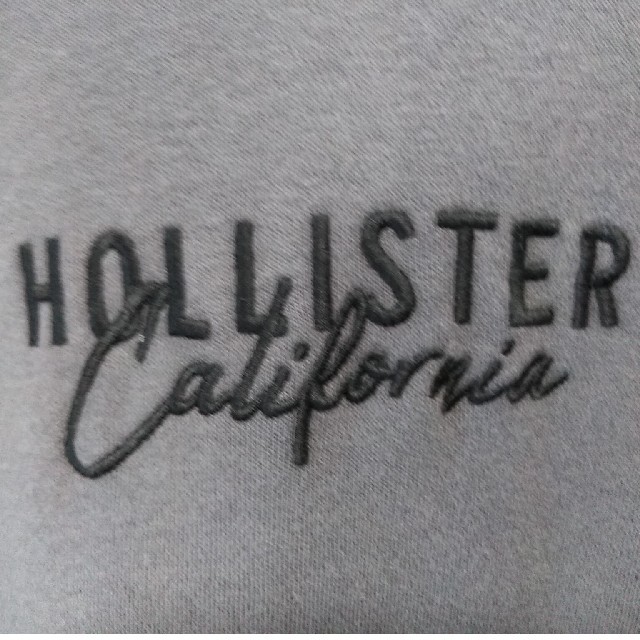 Hollister(ホリスター)の新品　ホリスターのトレーナー メンズのトップス(パーカー)の商品写真