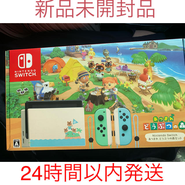 Nintendo Switch あつまれどうぶつの森　同封版