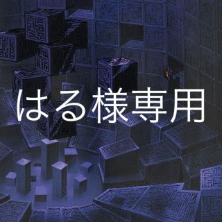 はる様専用、向井康二クリアファイル(アイドルグッズ)