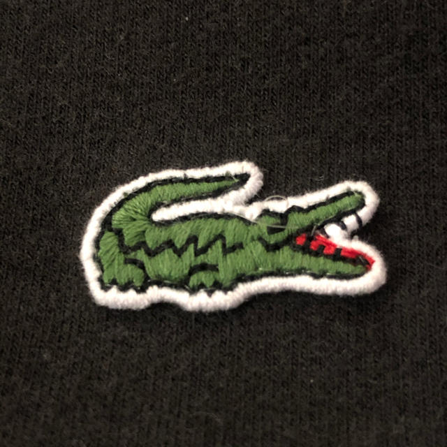 LACOSTE(ラコステ)のLacoste ラコステ 2tone パーカー メンズのトップス(パーカー)の商品写真