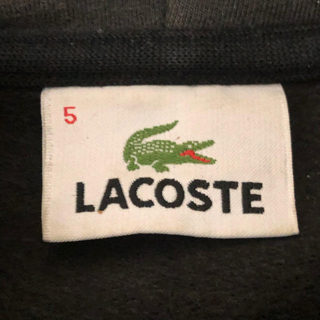 LACOSTE(ラコステ)のLacoste ラコステ 2tone パーカー メンズのトップス(パーカー)の商品写真