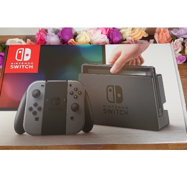 ニンテンドースイッチ Nintendo Switch 旧型 本体  保証有