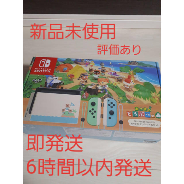 Nintendo Switch どうぶつの森 同梱版 セット