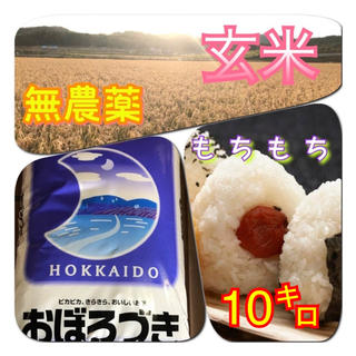 健康第一⭐完全無農薬 ななつぼし玄米10㌔