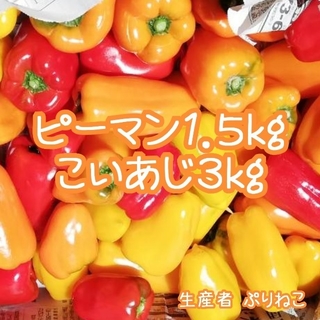 火曜日収穫 こいあじ3kg 訳ありカラーピーマン1.5kg 農家直送(野菜)