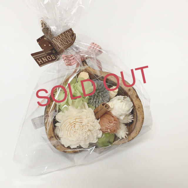 現品限り一斉値下げ!】 ブッダナッツアレンジ プリザーブドフラワー - nozomigaokachristchurch.com